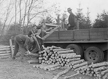 1944 Forestry 09