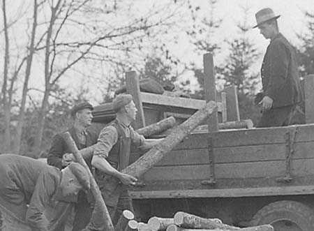 1944 Forestry 10
