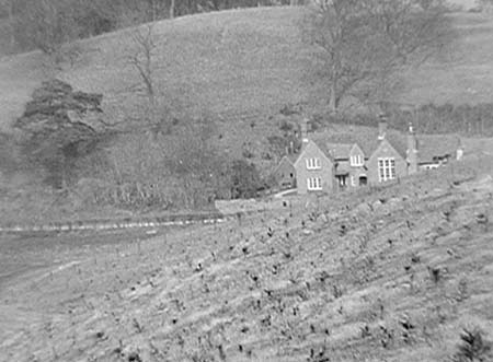 1949 Tree Planting 05