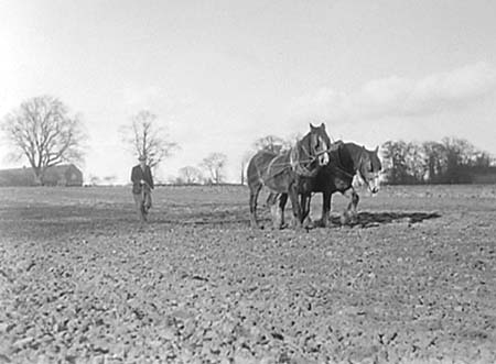 1951 Harrowing 01