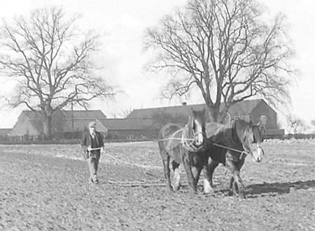 1951 Harrowing 04