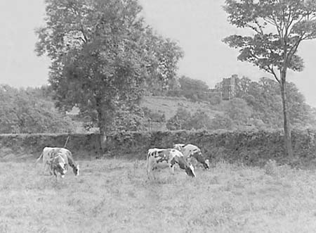 1956 Pastoral Scenes 03