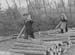 1944 Forestry 07