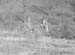 1945 Scenic Views 02