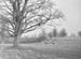 1952 Farm Scenes 03