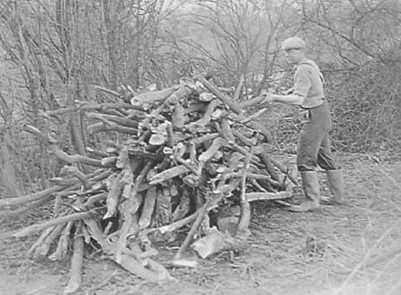 1943 Hedging 01