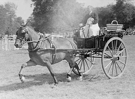 1948 Village Show 05