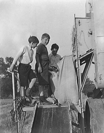 1939 Harvesting 02