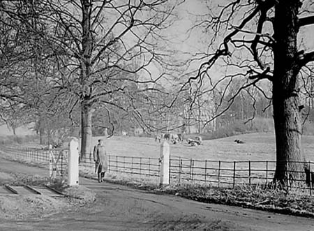 1950 Scenic Views 05