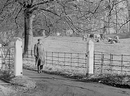 1950 Scenic Views 06