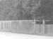 1949 Park Fence 02