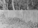 1949 Park Fence 05