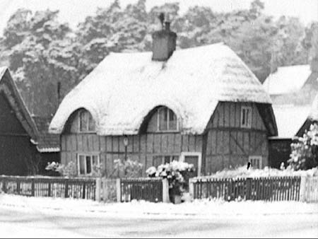 Ossory Cottages 1945.2509