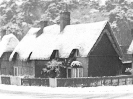 Ossory Cottages 1945.2510
