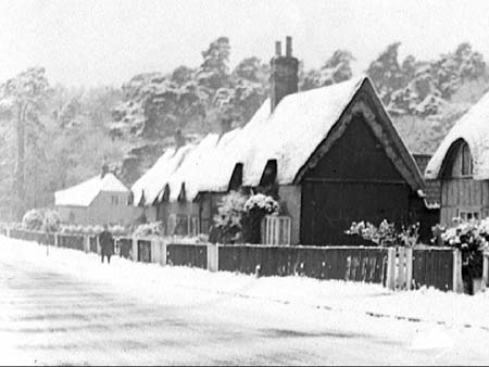Ossory Cottages 1945.2513