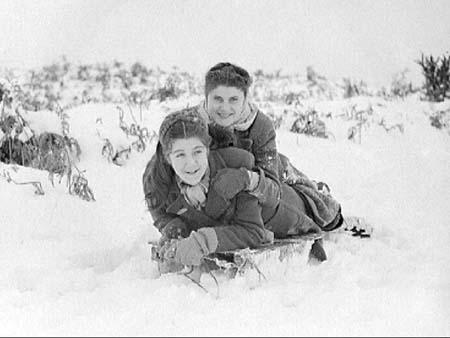  Tobogganing 1947.4062