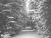  Avenue e1900s.4677