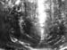  Avenue.1408