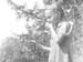  Blackberries 1949.3843