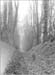  Limes Walk 01 1955