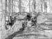  Log Cutters 1949.3672