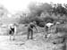 Allotments 1944.2415