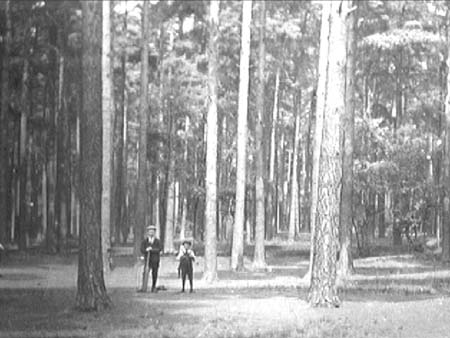 c1915.1240