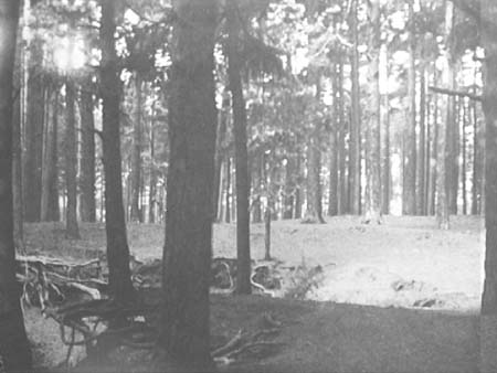 e1900s.1020