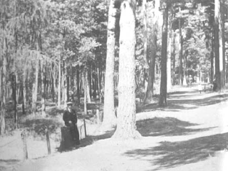 e1900s.4413