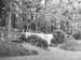 Gate e1900s.1026