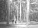 c1915.1240