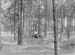e1900s.06
