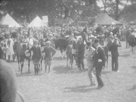  Police Display 1930 4741