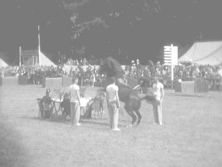 Police Display 4739