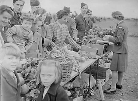 1946 Gymkhana 05