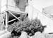1950 Shefford Station 05