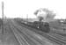 1954 Steam Locomotives 09