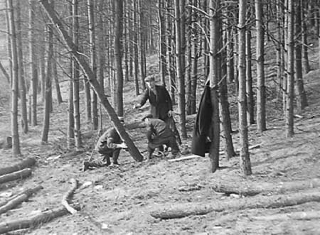 1941 Forestry 05