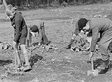 1942 Boy Gardeners 06