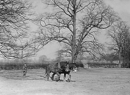 1942 Farming 01