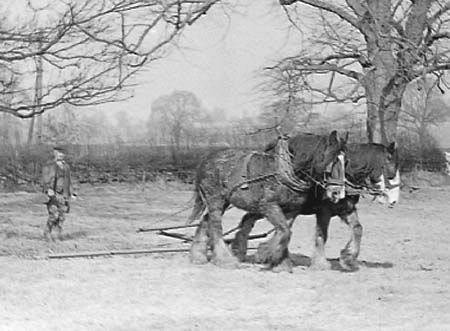 1942 Farming 02