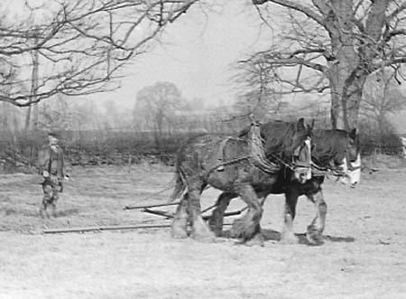 1942 Farming 02