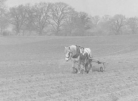 1953 Farm Scenes 01