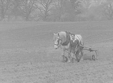1953 Farm Scenes 02