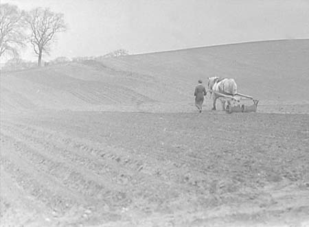 1953 Farm Scenes 03