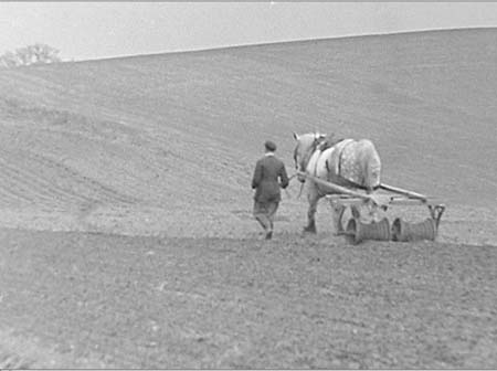 1953 Farm Scenes 04
