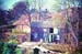 Cedars 22 1964