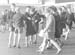 New School 1960 04
