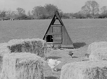 1948 Rectory Farm 05