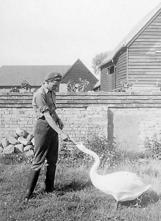 1950 Hulcote Farm 03